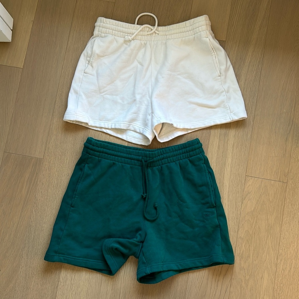 Aritzia TNA shorts